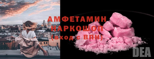 индика Каменск-Шахтинский