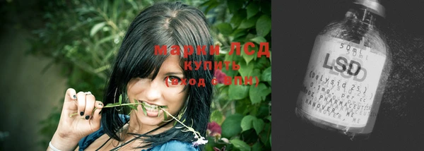 индика Каменск-Шахтинский