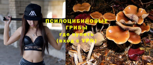 индика Каменск-Шахтинский