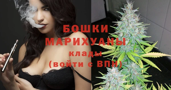 индика Каменск-Шахтинский
