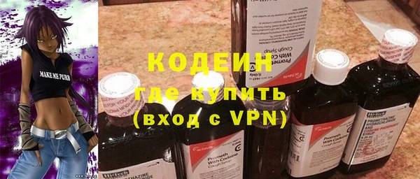 индика Каменск-Шахтинский