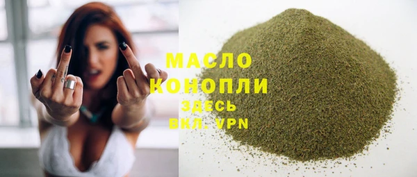 индика Каменск-Шахтинский
