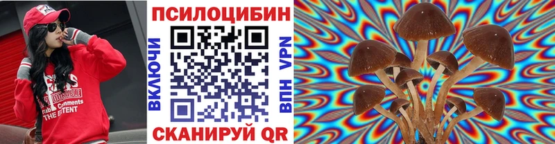 Купить где  Опочка  Галлюциногенные грибы MAGIC MUSHROOMS 