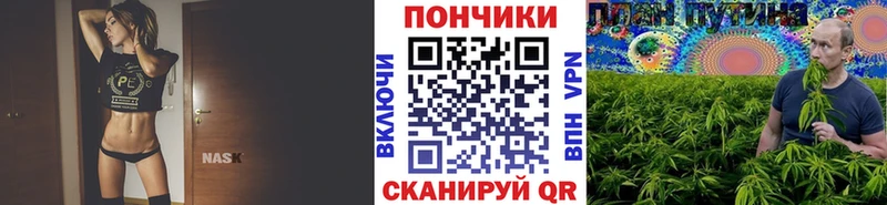 Купить  Опочка  Шишки марихуана конопля 
